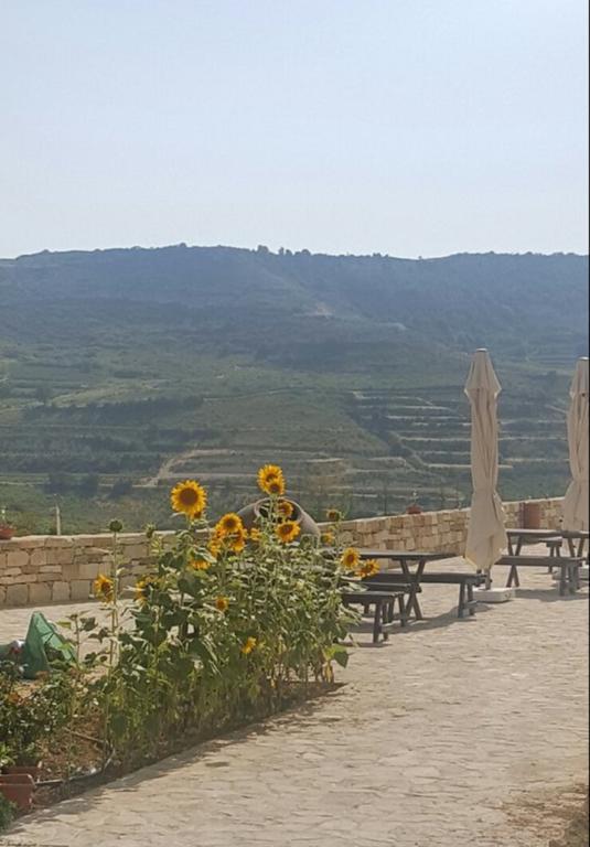 Cyprus Dream Holiday Apartment Voroklini