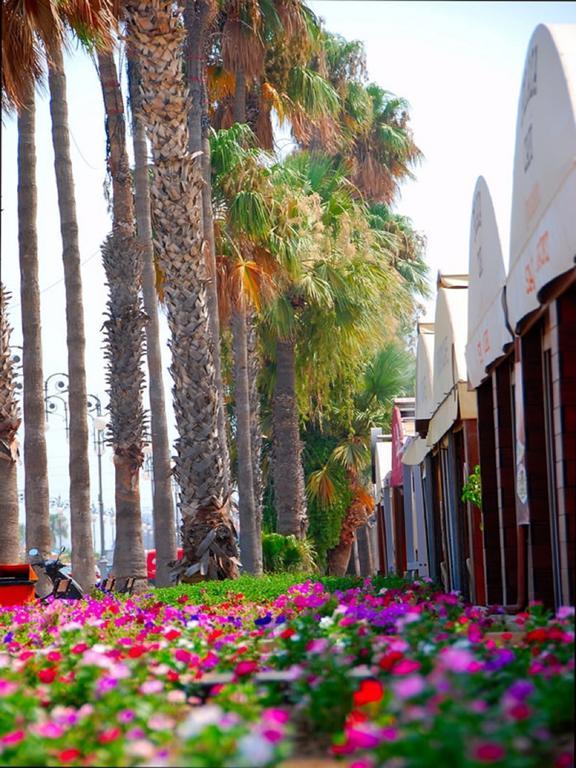 Apartment Cyprus Dream Holiday
