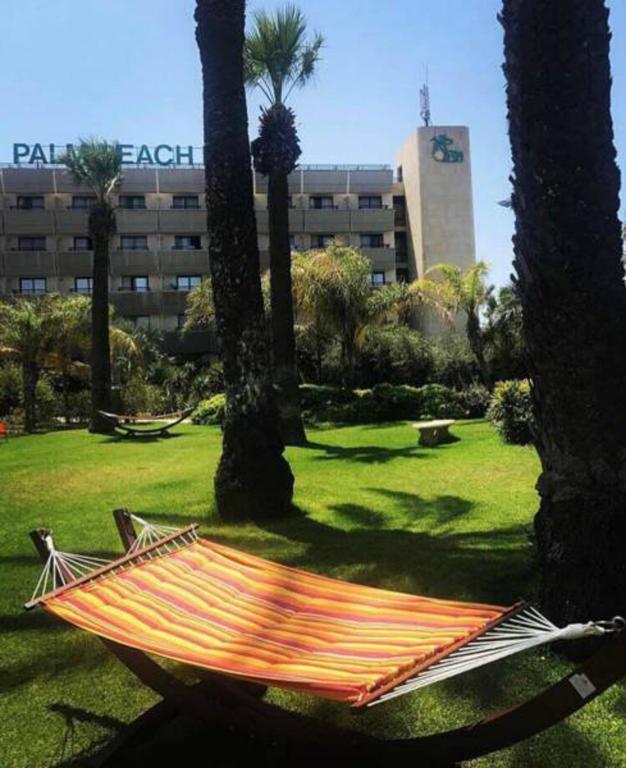 Palm &