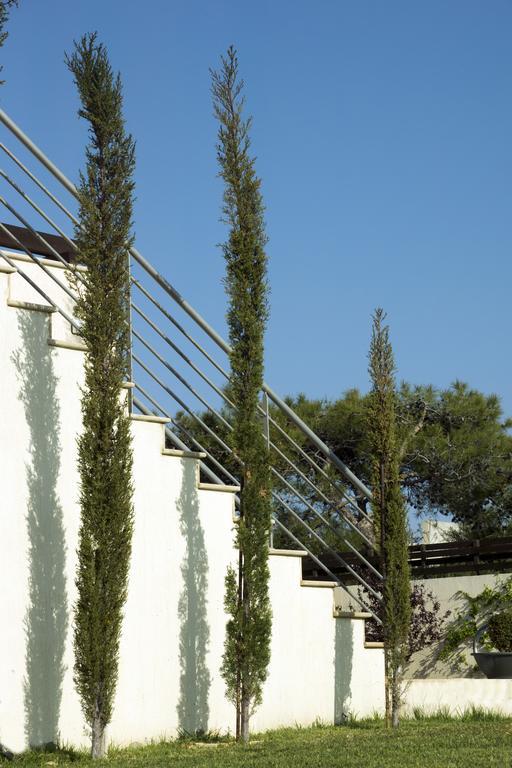 Vikla * Pissouri