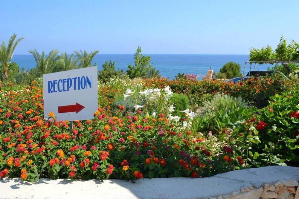 Aphrodite Beach Polis