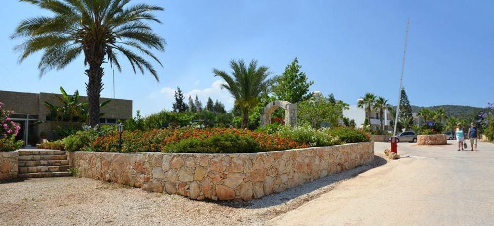Aphrodite Beach Polis