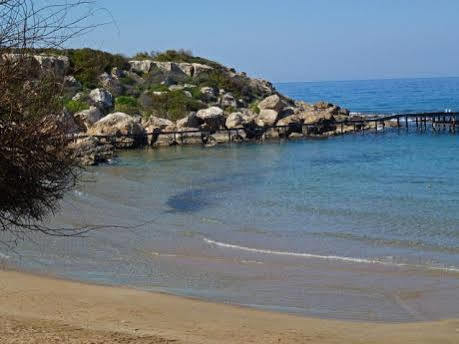Bare Hill Village