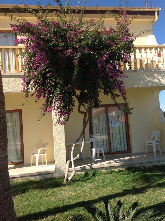 Club Simena Hotel Vasilia