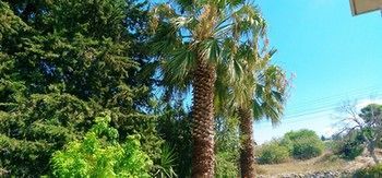 Droushia Holiday