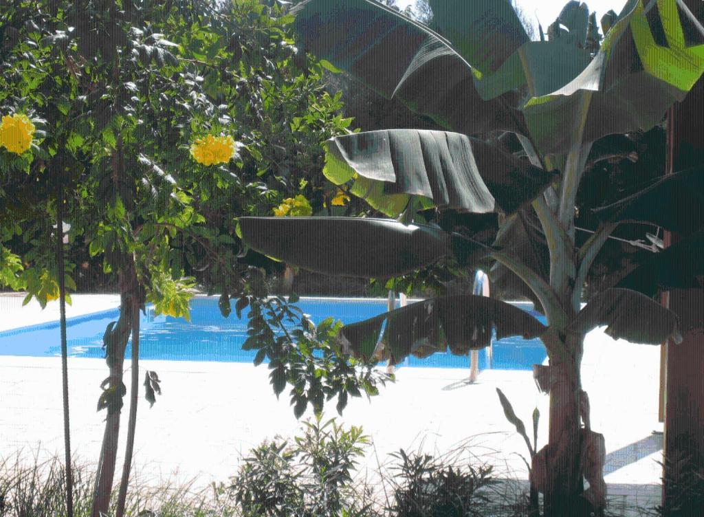 Cyprus Villa Peyia