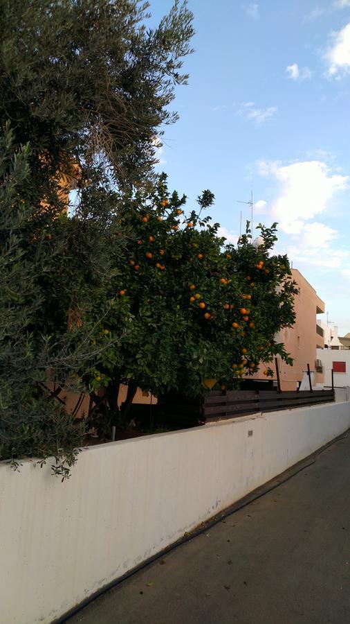 Amigos Mythical Apartment Protaras