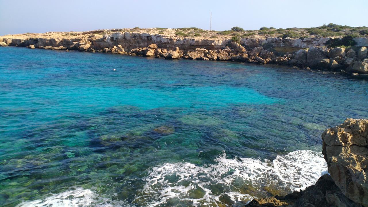 Amigos Mythical Protaras