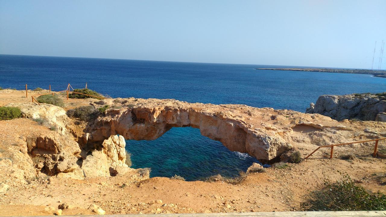 Amigos Mythical Protaras