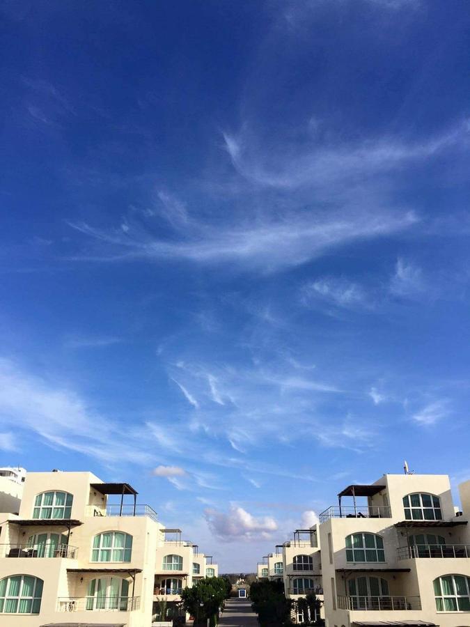 Aphrodite Beachfront Official 3*