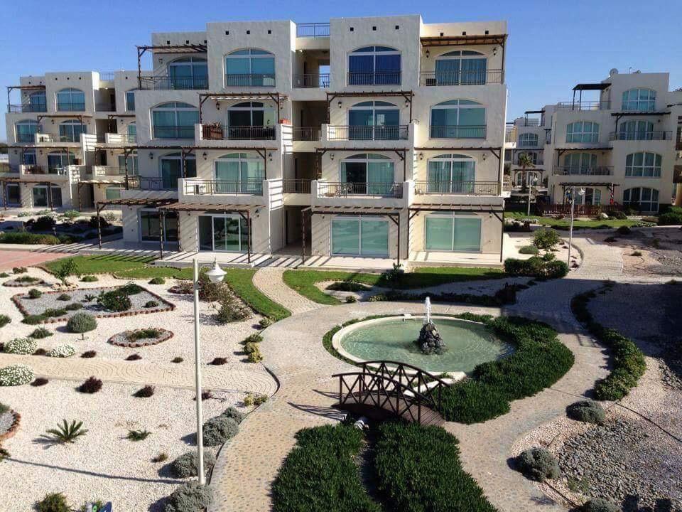 Hotel Aphrodite Beachfront Official 3*