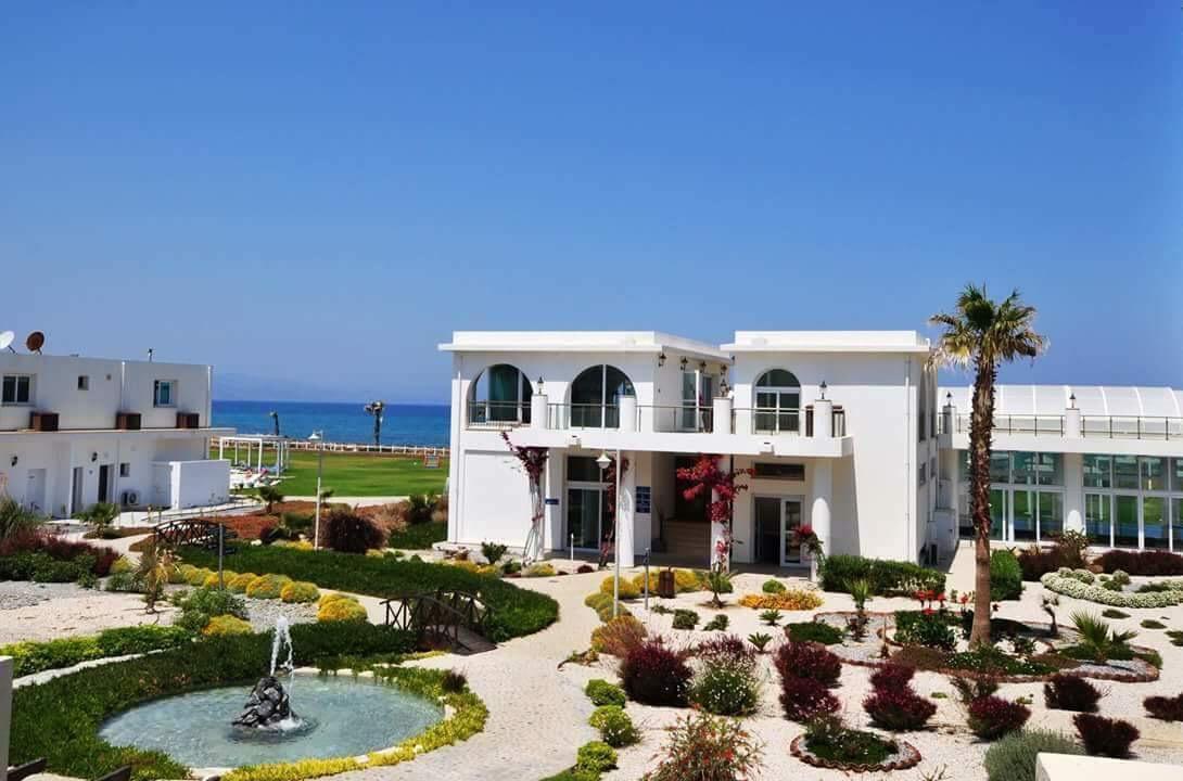 Aphrodite Beachfront Official Ghaziveran