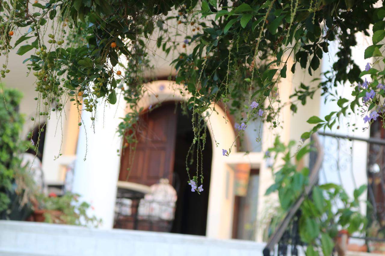Meryem's Hotel Agios Epiktitos