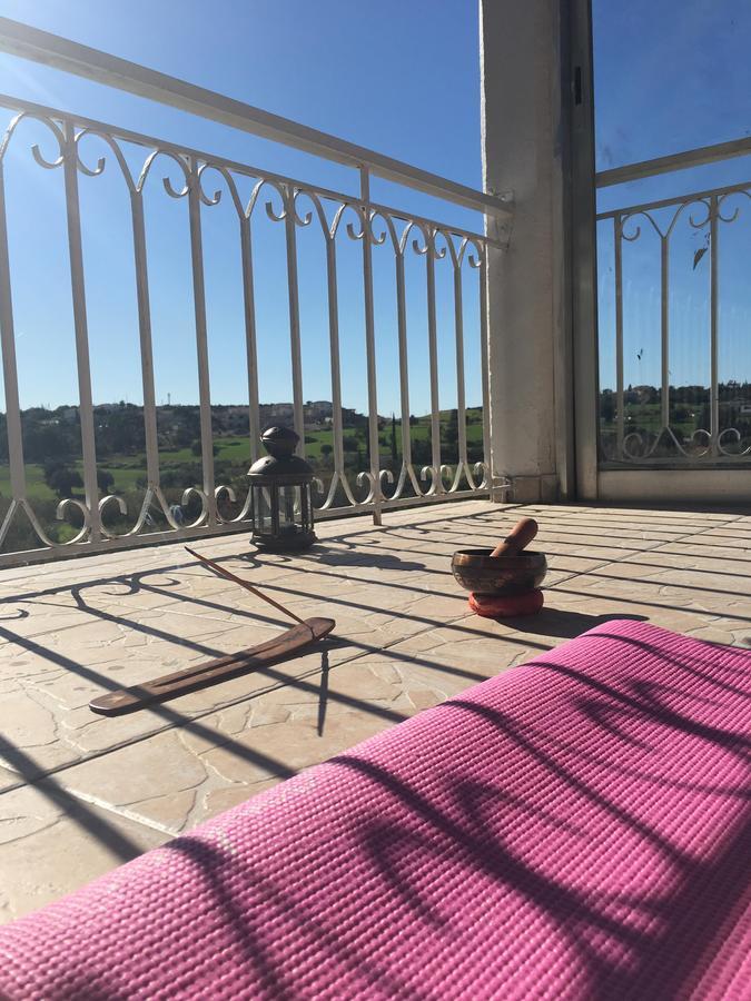 Orchard View Maroni