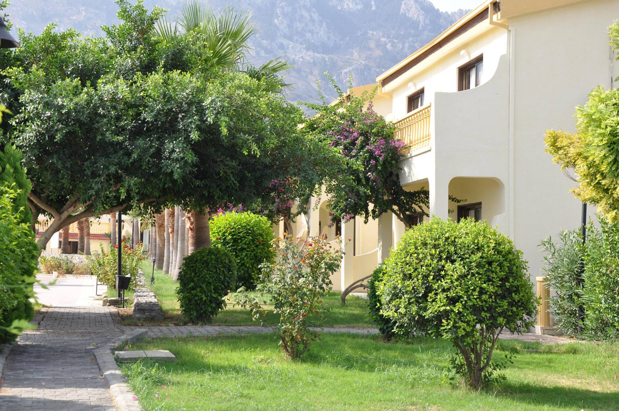 Club Simena Vasilia