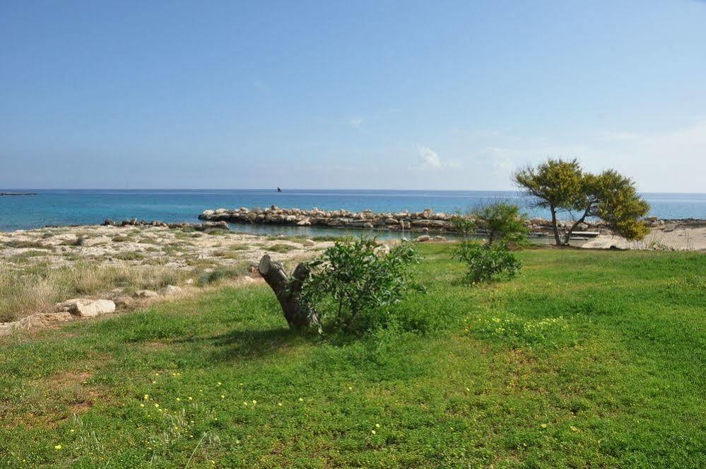 Hotel Harry's Protaras