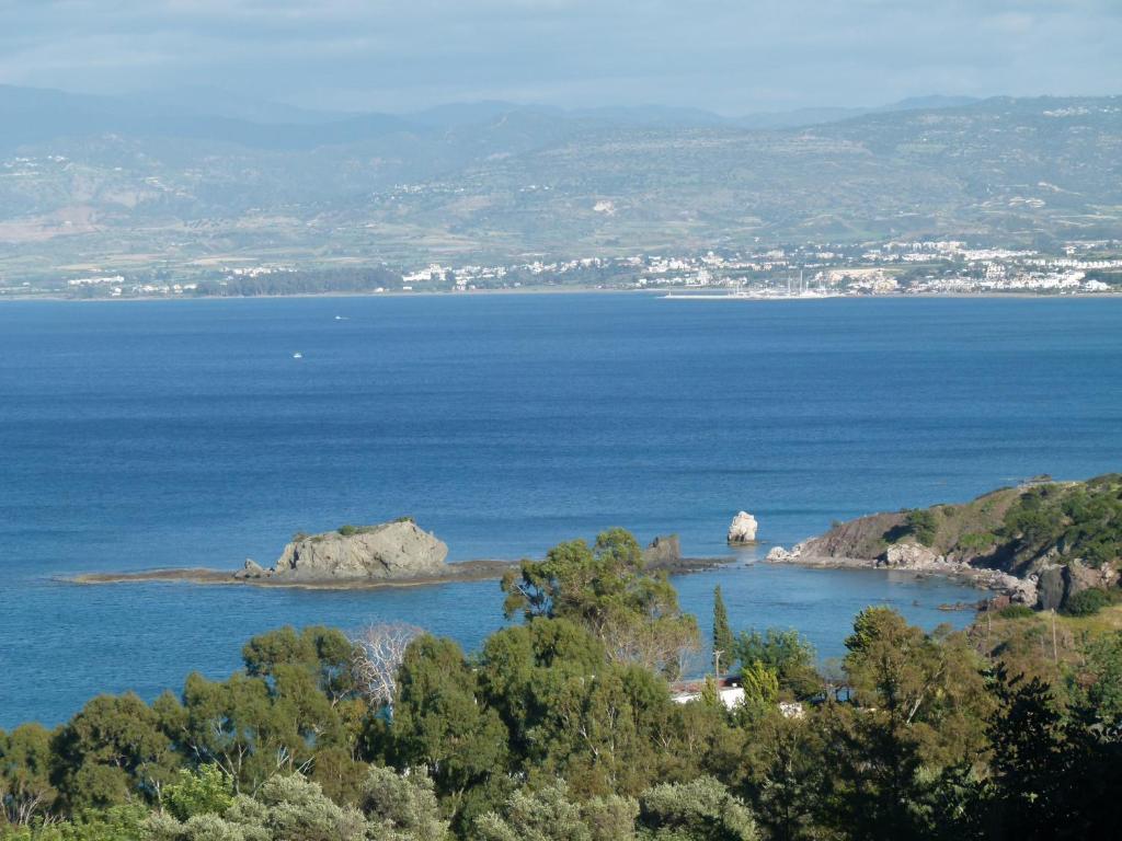Aphrodite Beach Hotel Polis