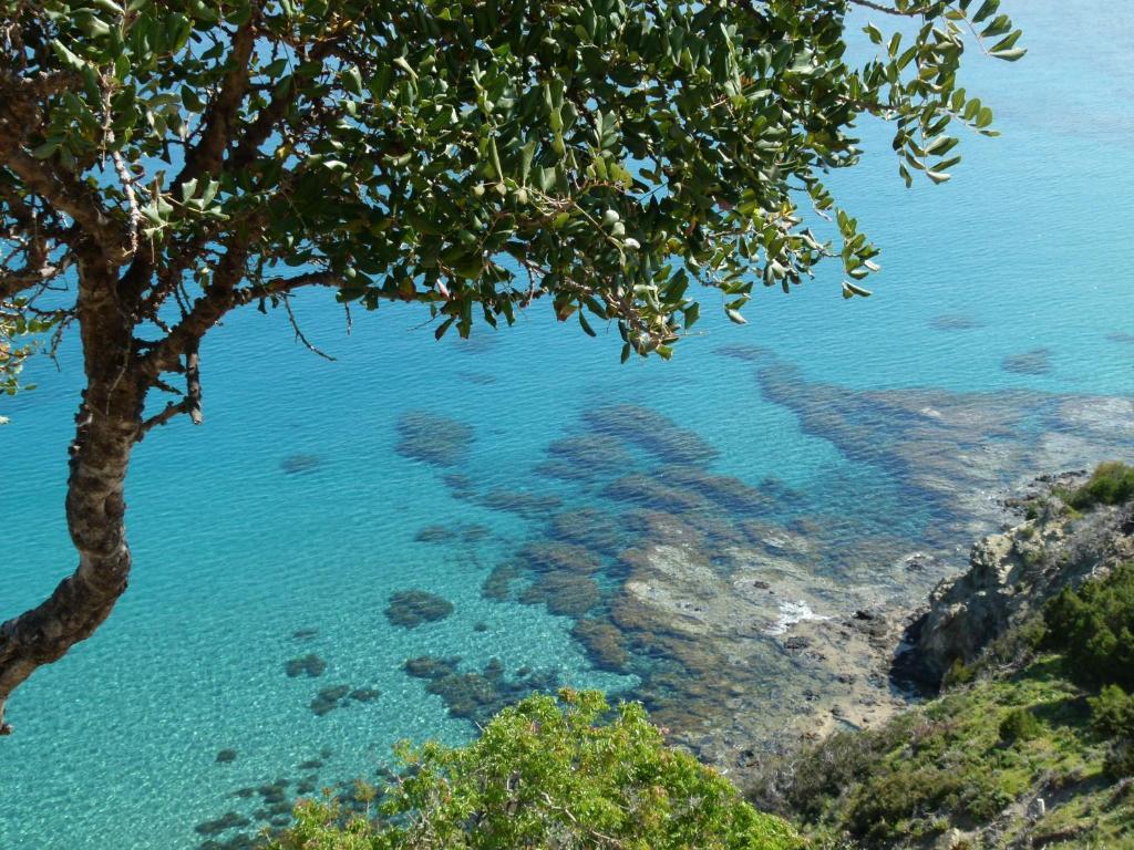 Aphrodite Beach 2* Polis