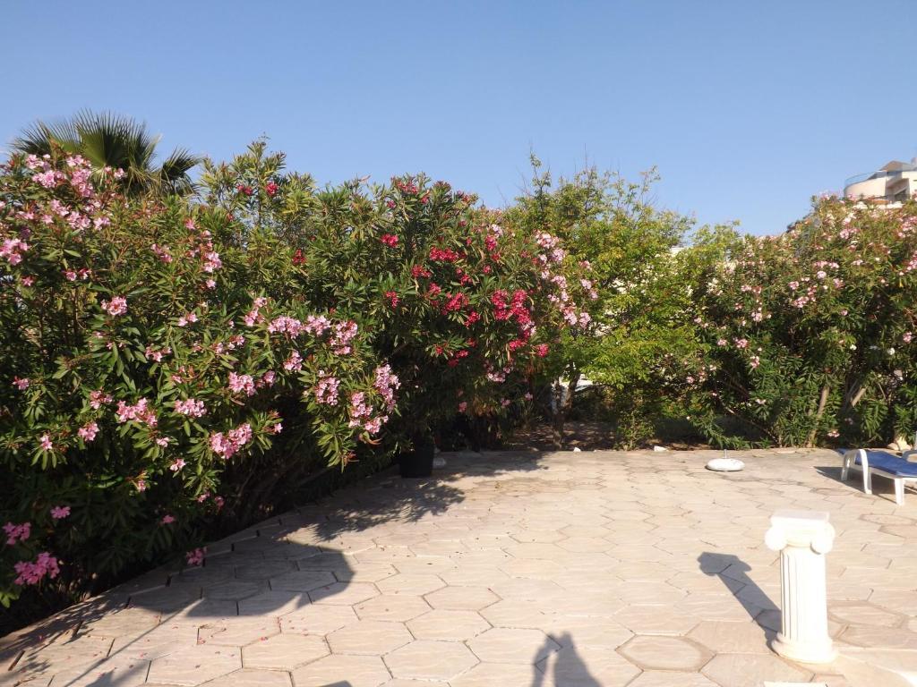 Bed & Breakfast Paradise Kazaphani