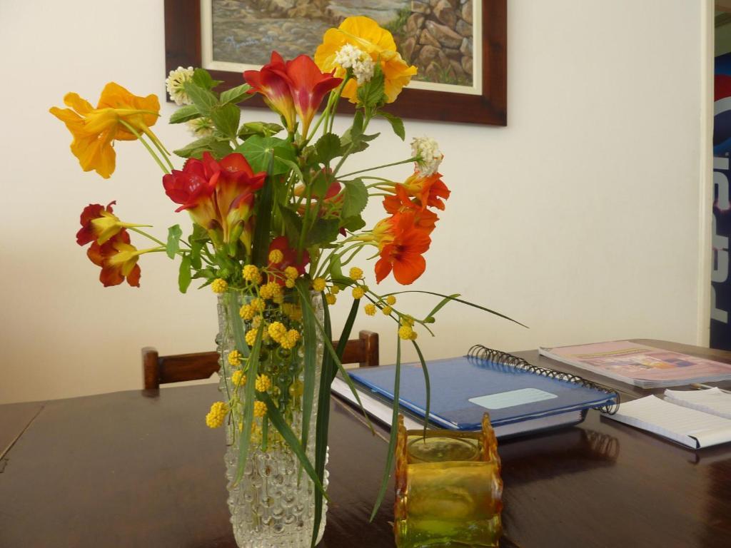 Hotel Aphrodite Beach Polis