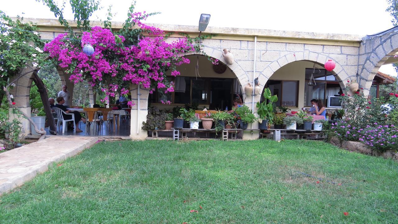 Resort Elausa & Restaurant Rizokarpaso