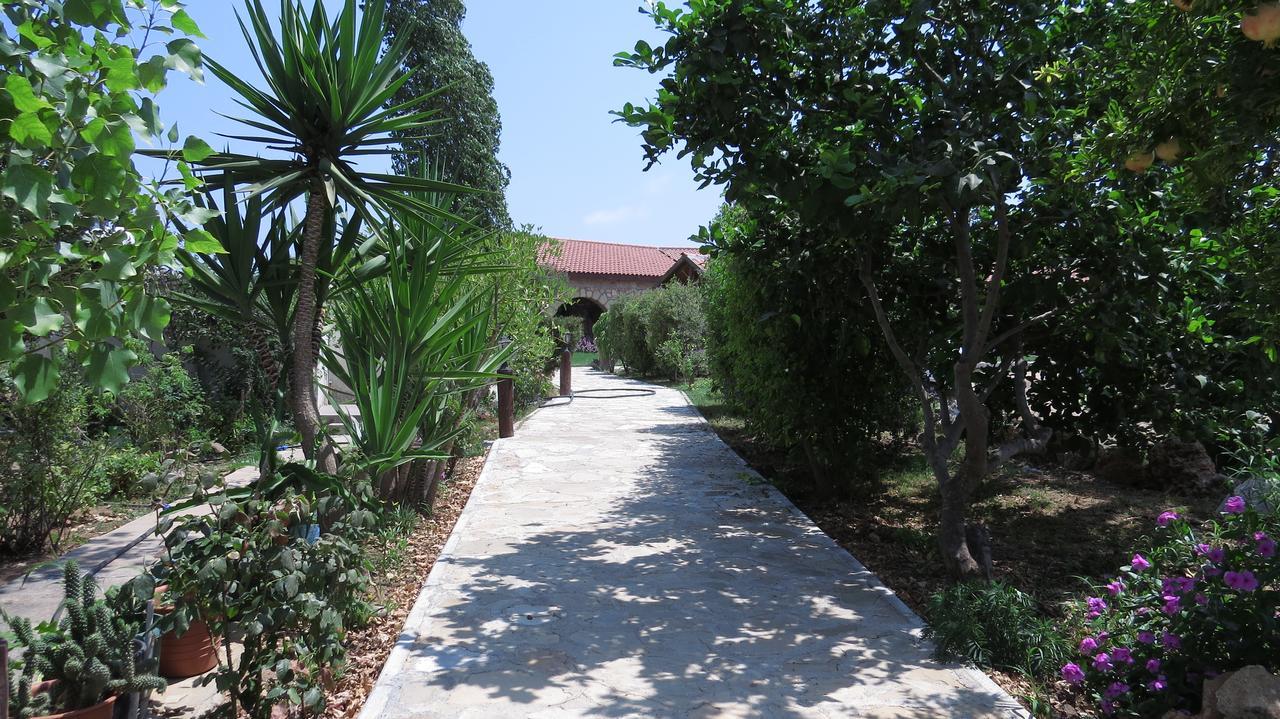 Elausa & Restaurant Resort *