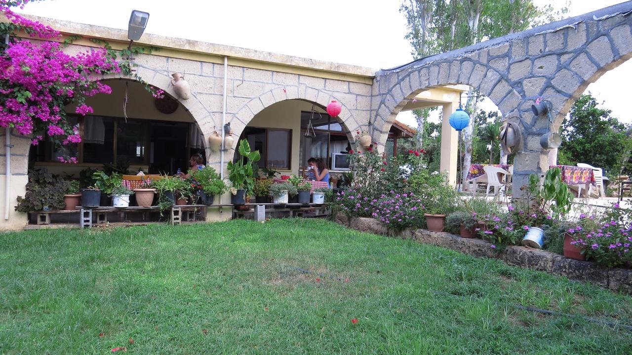Elausa & Restaurant Resort