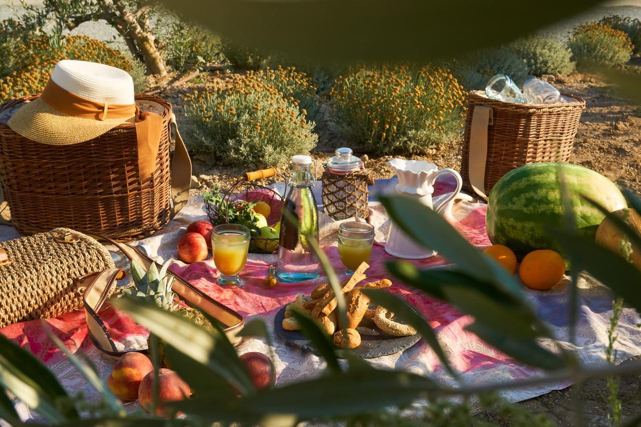 Aelia Wellness Retreat