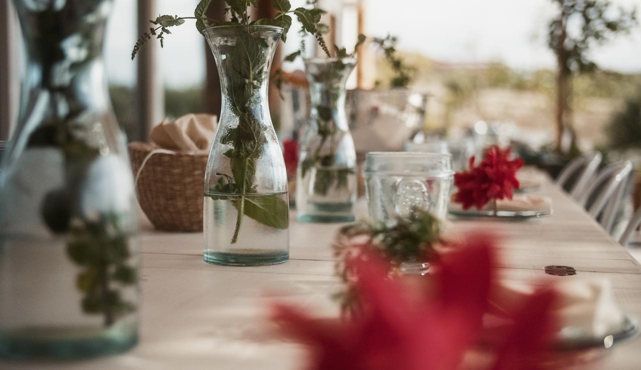 Aelia Wellness Retreat Hotel Nicosia