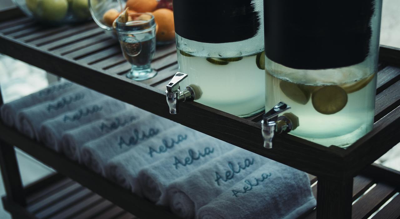 Aelia Wellness Retreat Hotel