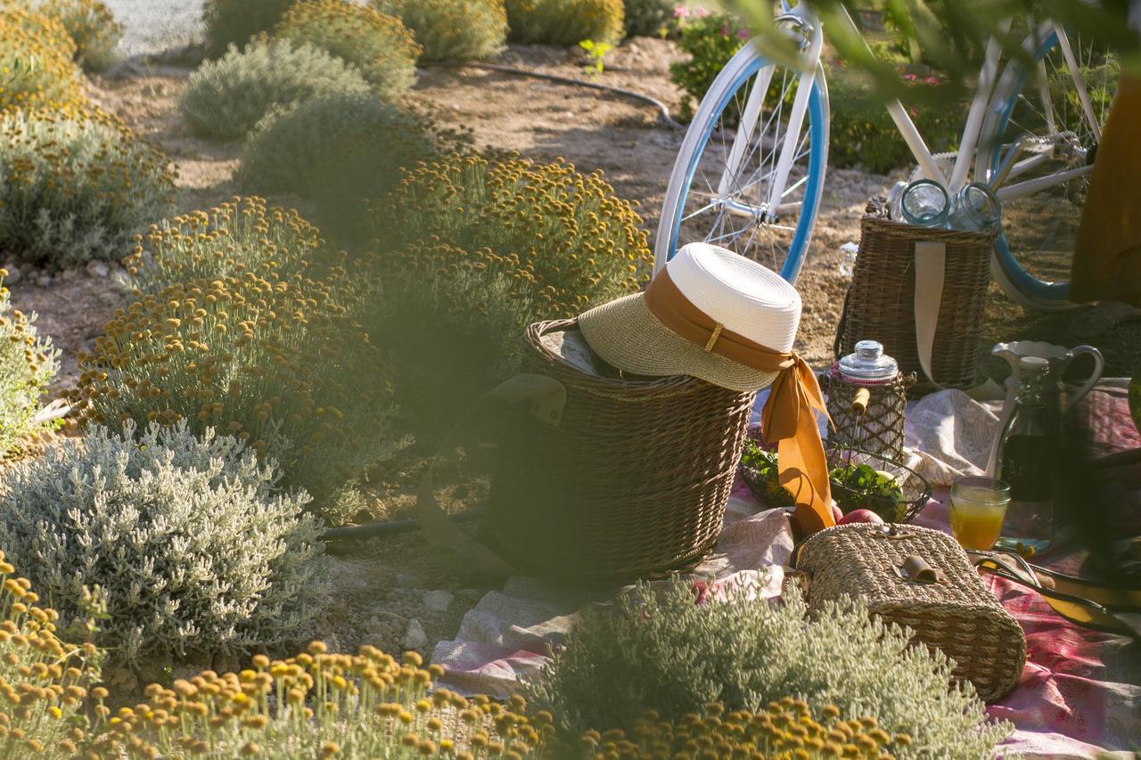 Aelia Wellness Retreat Hotel Nicosia