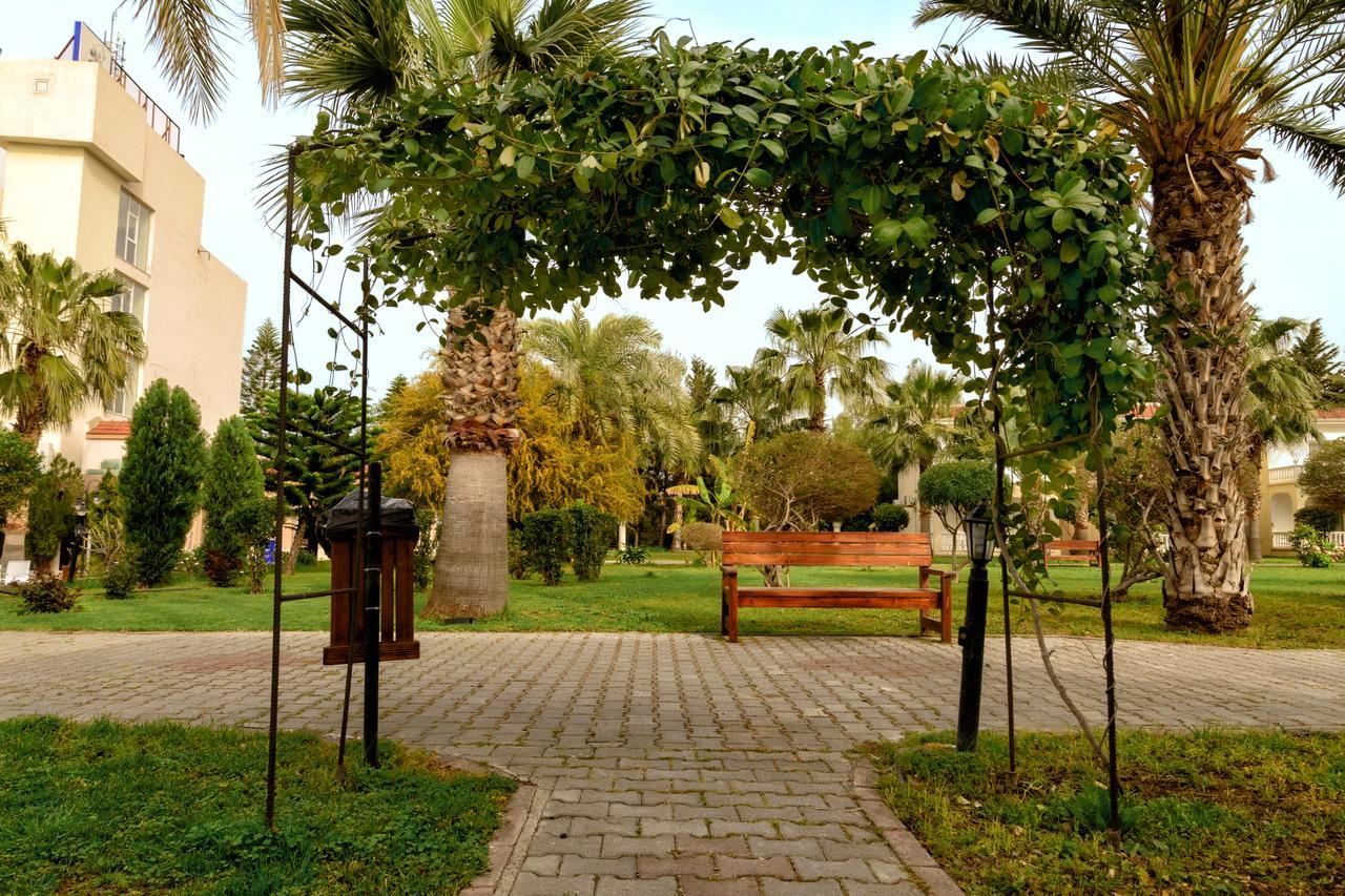Hotel Mountain View 3*