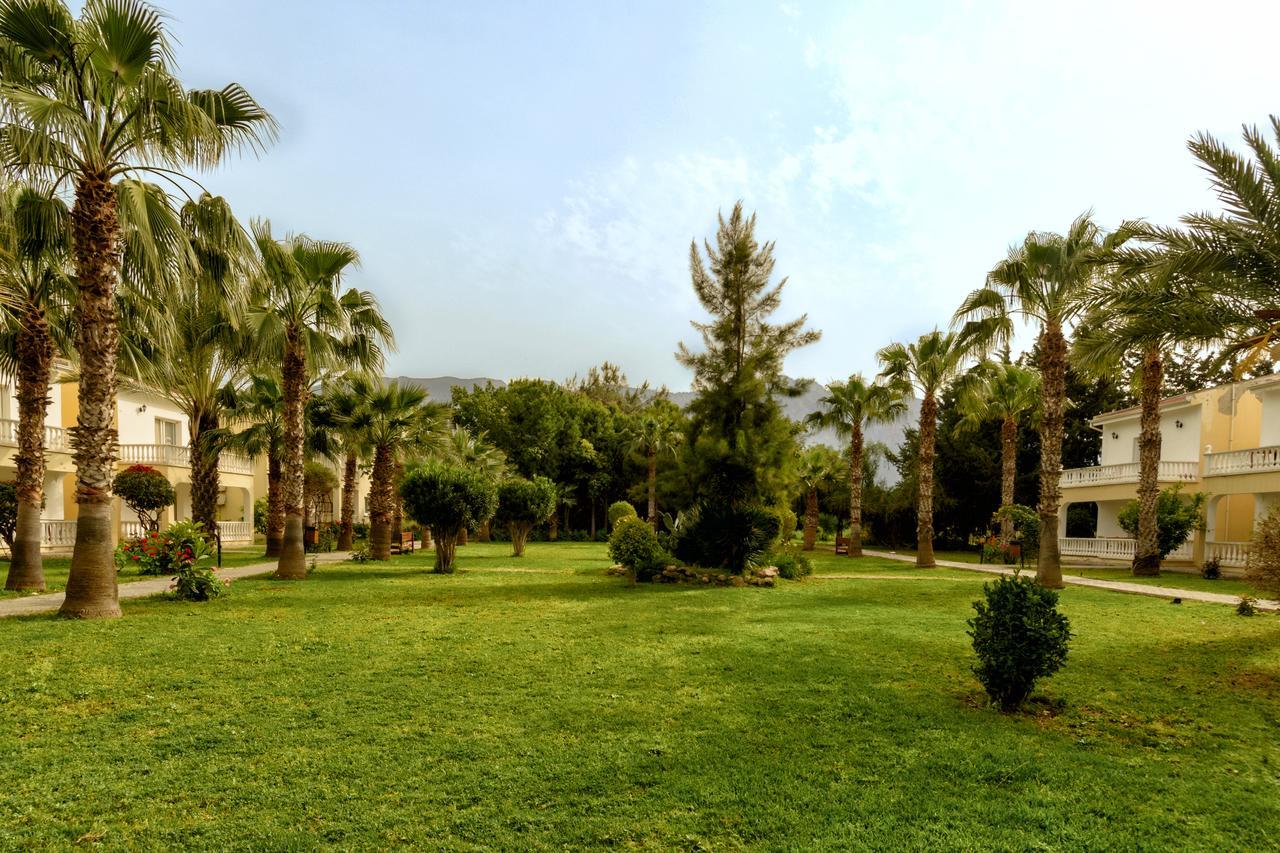 Mountain View Ayvaryara
