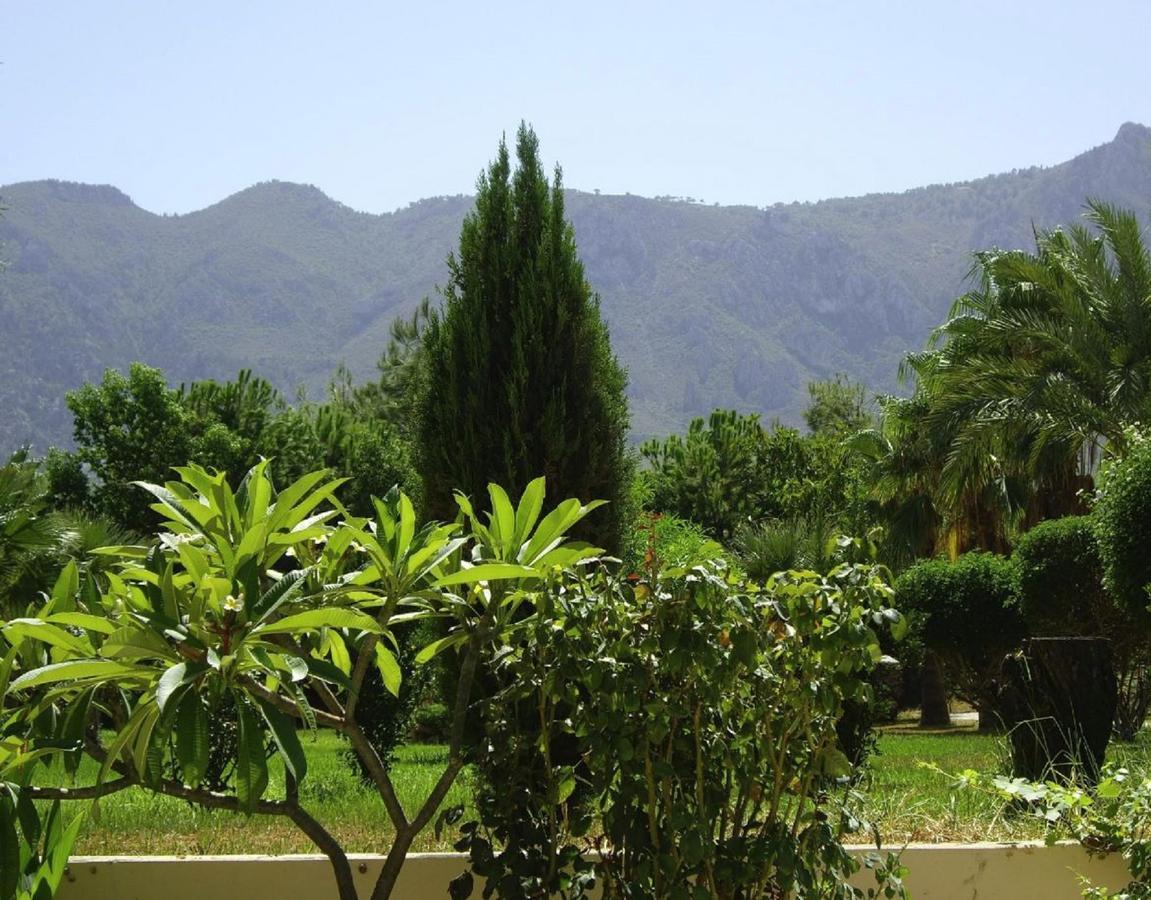 Mountain View 3*