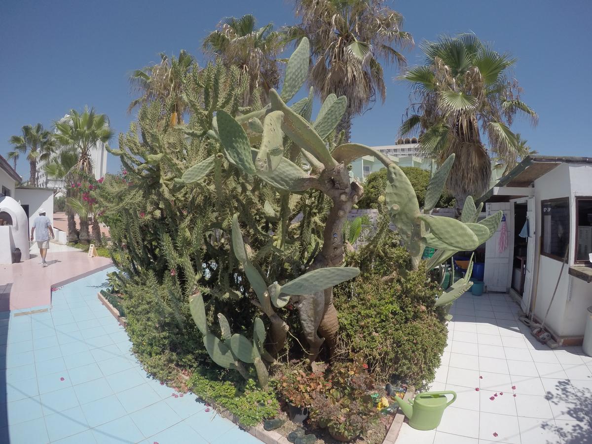 Hotel Babutsa