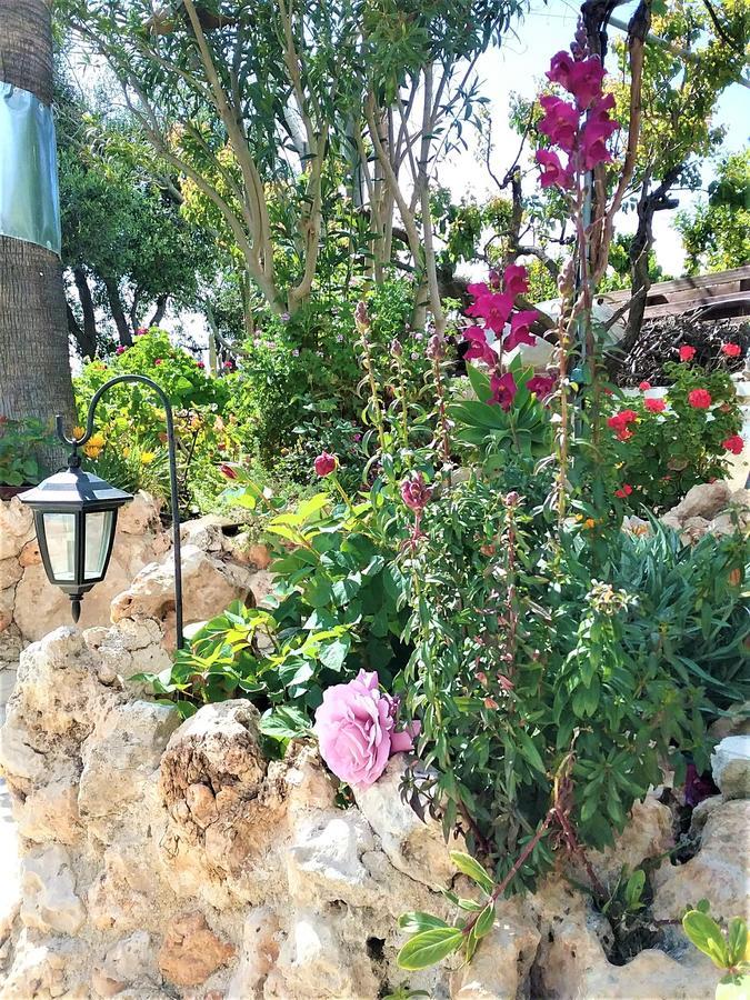 Holiday home Rose Garden *