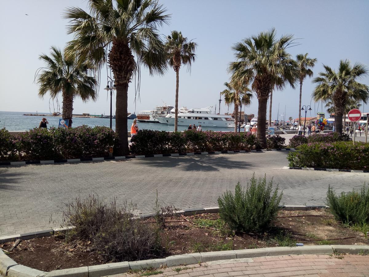 Villa Lilia Paphos