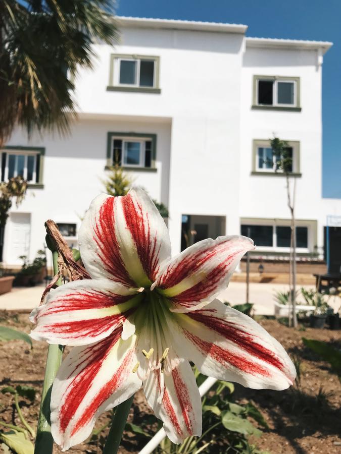 Sun Rays Hostel *