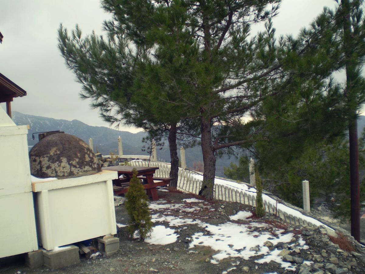Timber Log House Chalet Agros