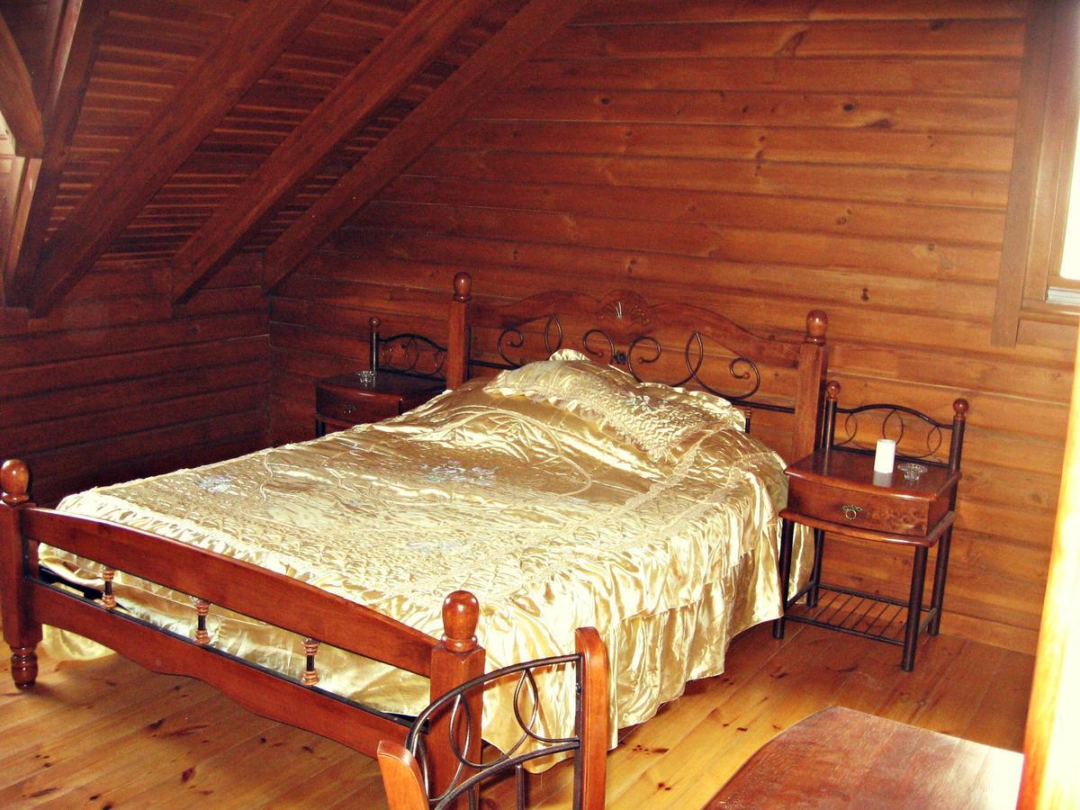 Timber Log House Agros
