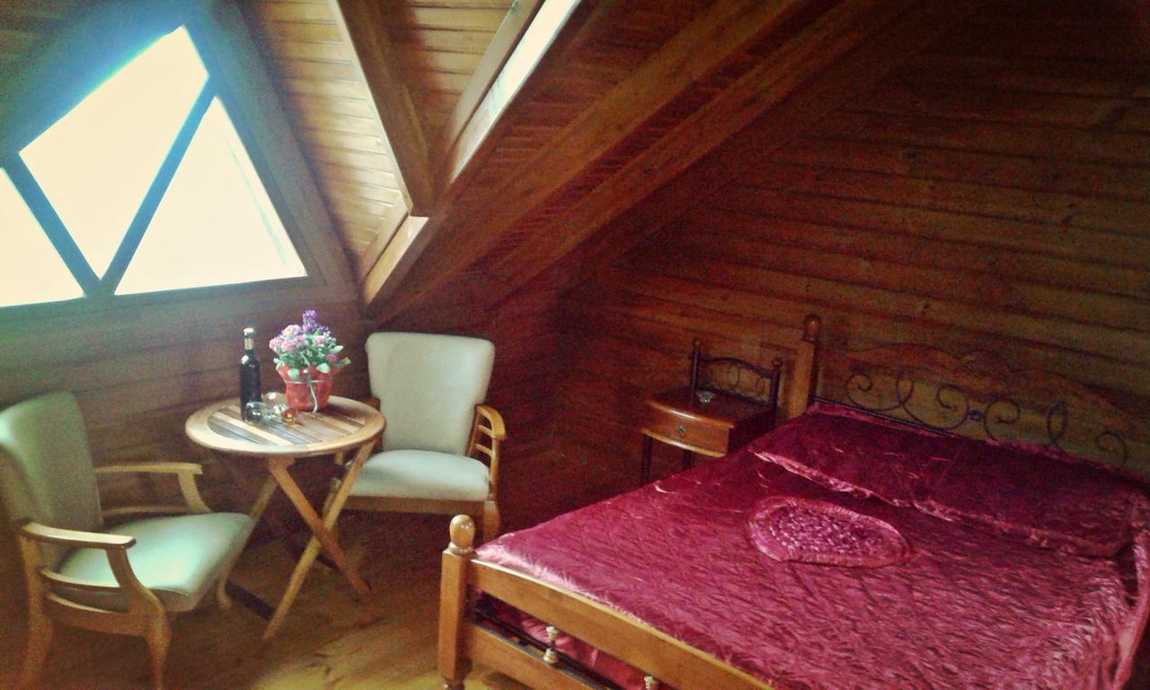 Chalet Timber Log House Agros