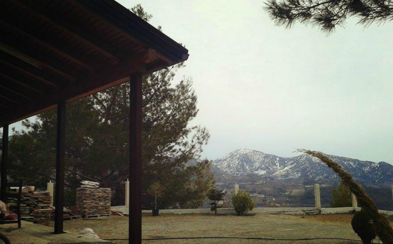 Chalet Timber Log House Agros