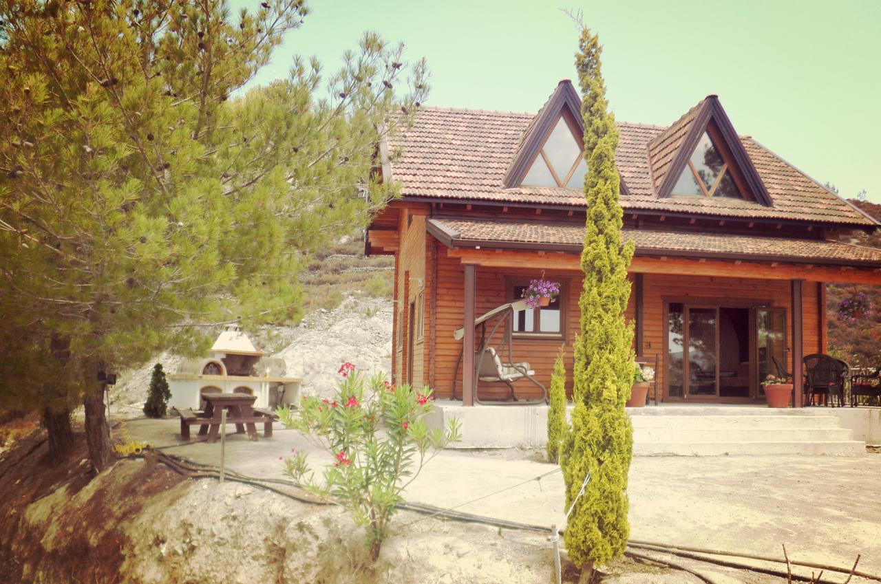 Timber Log House *