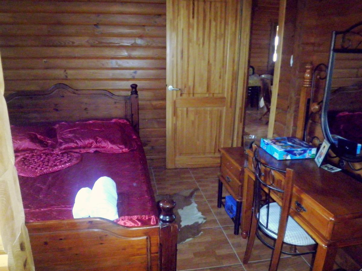 Timber Log House Chalet