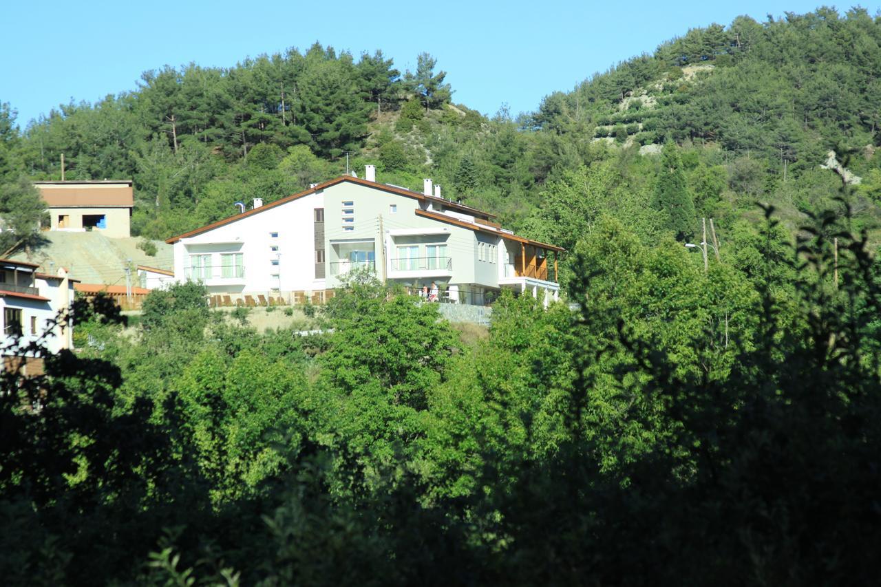 Hotel Livadia 3*