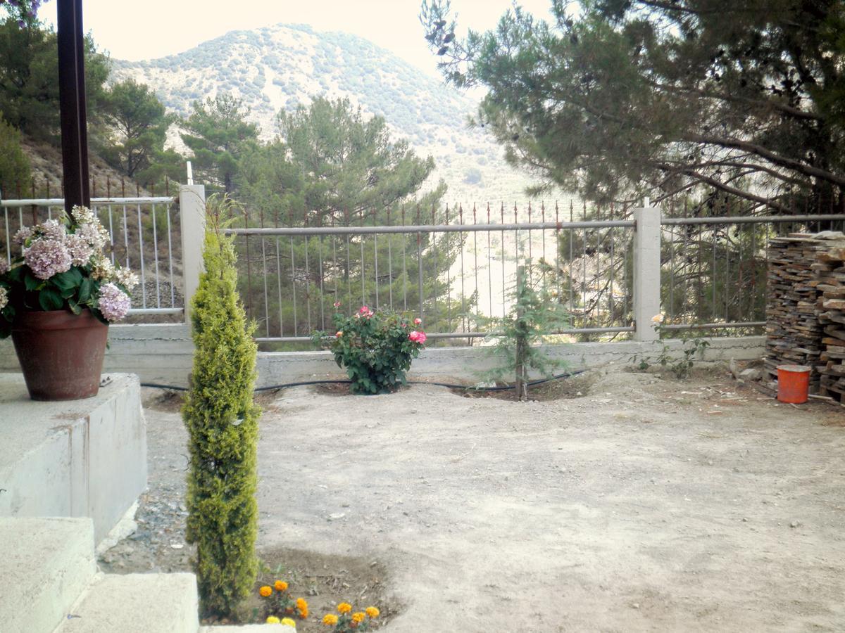 Timber Log House Chalet Agros