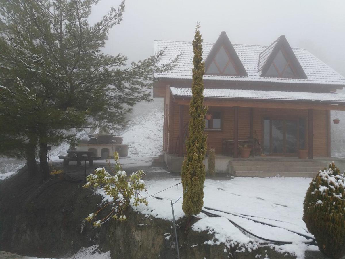 Timber Log House