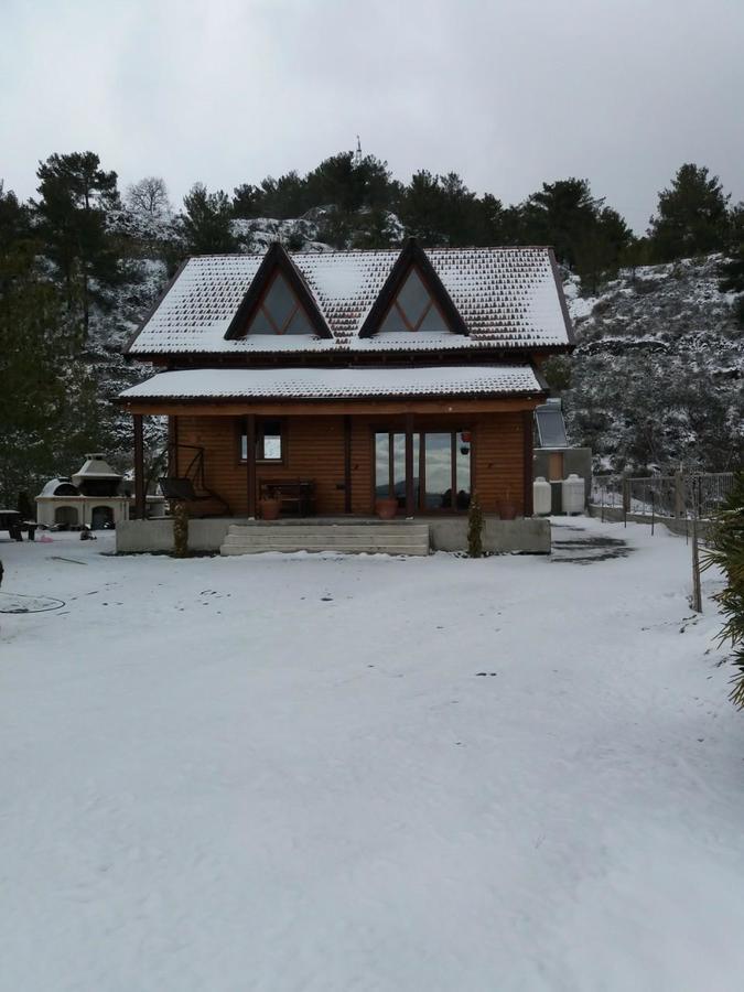 Timber Log House *
