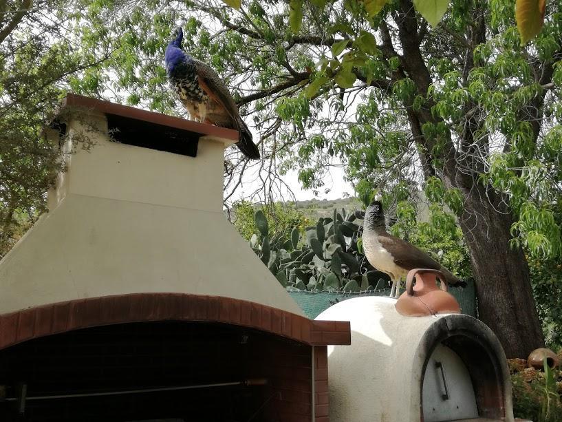 Valencia Grove Pousada *