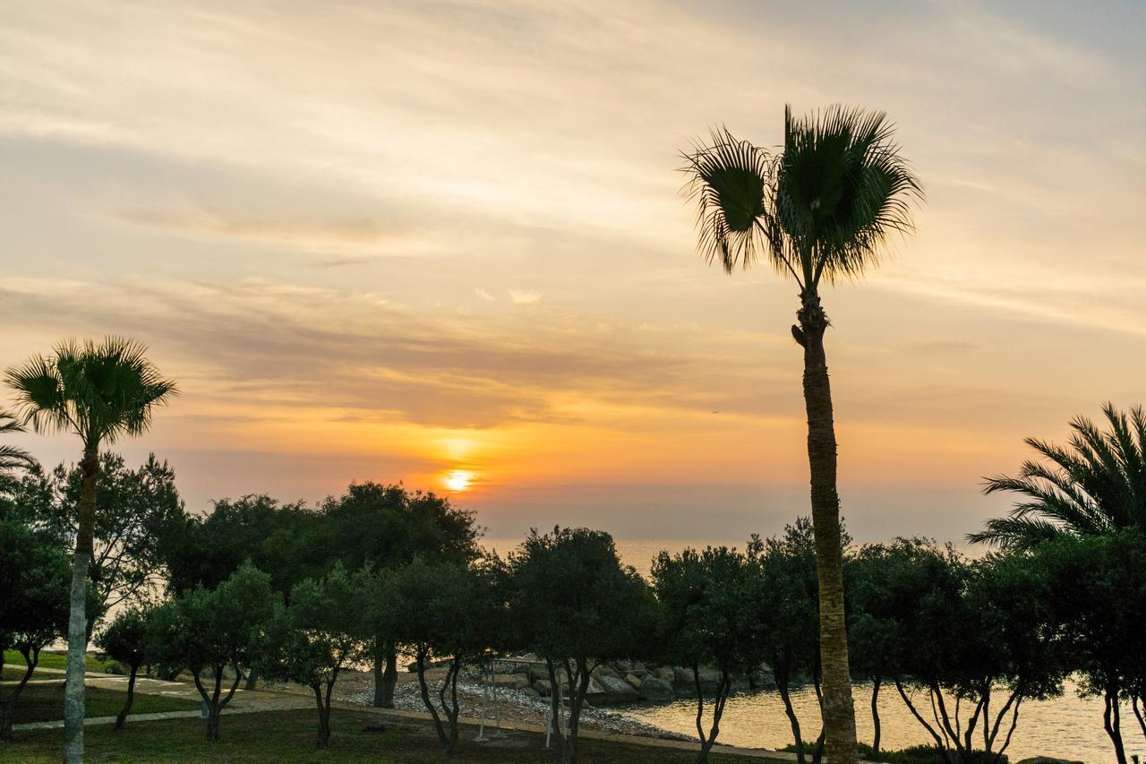Elya Luxury Aparthotel Agios Theodoros